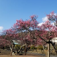 Photo taken at 梅津寺公園 by ayeco . on 2/2/2019