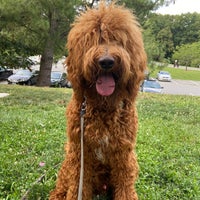 Photo taken at Black Hill Regional Park by Shirley on 7/18/2021