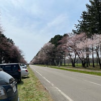 Photo taken at 静内二十間道路桜並木 by ひなえく た. on 4/25/2023