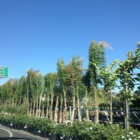 Payless Nursery Rockery Evergreen 2927 S King Rd