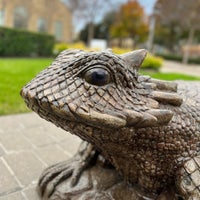 Photo taken at Texas Christian University by Abdul Karim Syed on 12/7/2022