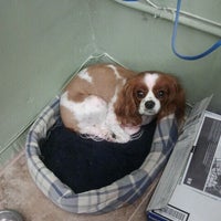Photo taken at English Plaza Animal Hospital by Shell H. on 10/18/2011