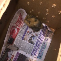 super pet store near me