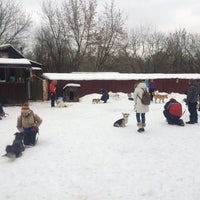 Photo taken at Площадка для дрессировки собак by Nikolay on 1/31/2016