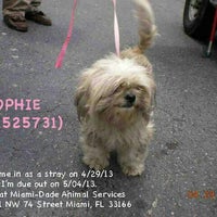 Photo taken at Miami Dade Animal Services by Annush on 4/30/2013