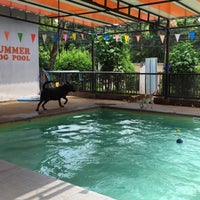 Photo taken at Summer Dog Pool by Super Nookie on 7/27/2018