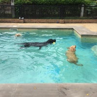 Photo taken at Summer Dog Pool by Super Nookie on 8/11/2018