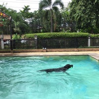 Photo taken at Summer Dog Pool by Super Nookie on 6/10/2018
