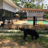 Photo taken at Summer Dog Pool by Super Nookie on 9/14/2018