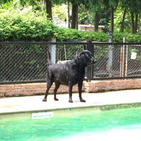Photo taken at Summer Dog Pool by Super Nookie on 5/27/2018