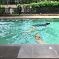 Photo taken at Summer Dog Pool by Super Nookie on 10/21/2018
