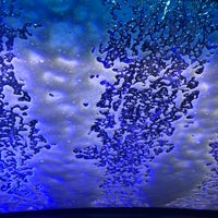 personal touch car wash of elwood