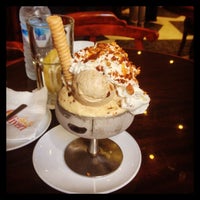 Oliveri غوتييه 24 Tips