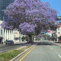 Photo taken at Mid-Wilshire by M 7 on 5/25/2020