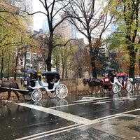 Photo taken at Central Park by Jon A. on 11/30/2016