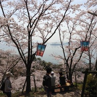 正福寺山公園 正福寺山公園