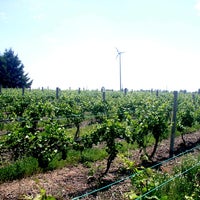 Das Foto wurde bei L Mawby Vineyards &amp;amp; Winery von L Mawby Vineyards &amp;amp; Winery am 8/6/2013 aufgenommen
