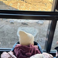 Photo taken at Minnesota Zoo by Ethan B. on 3/9/2024