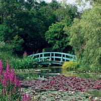 Foto diambil di Bennetts Water Gardens oleh Bennetts Water Gardens pada 1/9/2014