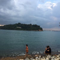 Review The Training Shed @ Labrador