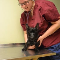 Foto tomada en Animals&amp;#39; Hospital of Levittown  por Animals&amp;#39; Hospital of Levittown el 8/25/2014