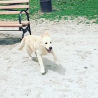 Photo taken at Dyker Dog Park by Anna on 5/27/2017
