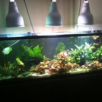 Photo taken at Bis&amp;#39; Aquarium Of The Sadistic by Bis on 9/29/2012