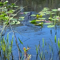 Photo taken at Airboat In Everglades by Joe S. on 9/2/2023