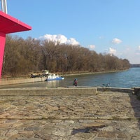Photo taken at Lobau (Donau-Oder-Kanal) by Florian on 2/20/2014