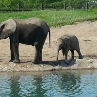 Photo taken at Elephants by Heather K. on 5/9/2013