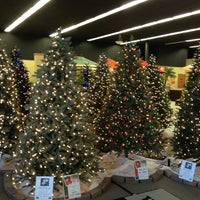Litehouse pools christmas trees info
