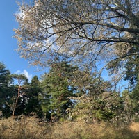 Photo taken at 御屋敷公園 by ヒロ ポ. on 5/4/2019