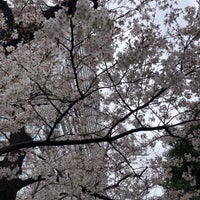Photo taken at Kameido Ryokudo Park by ヒロ ポ. on 4/3/2022