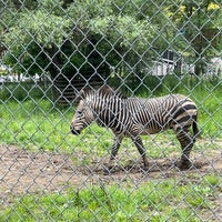 Foto diambil di Utica Zoo oleh Ian T. pada 8/1/2021