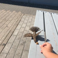 Rietumu Banka Skanste Riga Riga