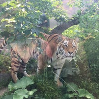Photo taken at Schönbrunn Zoo by Maria on 6/3/2017