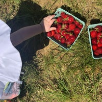 Foto tirada no(a) Pattys Berries and Bunches por lyka mae f. em 6/13/2020