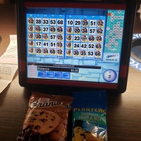 Bingo Bingo
