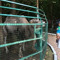 Photo taken at Зоопарк в парке Победы by Nika on 7/29/2015