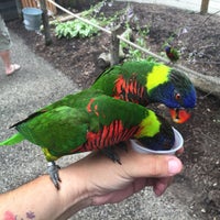 Niabi Zoo - 13010 Niabi Zoo Rd