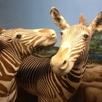 Photo prise au Touchstone Wildlife &amp;amp; Art Museum par Tanja M. L. le10/26/2012