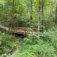 รูปภาพถ่ายที่ Cincinnati Nature Center (Rowe Woods) โดย MC B. เมื่อ 9/9/2023