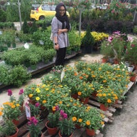 Chiong Garden Flower Shop
