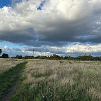 Photo taken at Leyton Marsh by Thomas on 8/6/2023