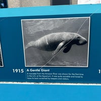 Photo taken at New York Aquarium by Thomas on 6/1/2024