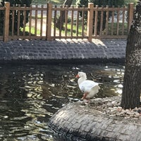 Photo prise au Kuğulu Park par Ozgurcicek le11/15/2017