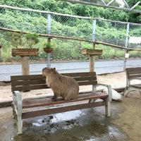 トリアスふれあい動物園 久山町 Da Hayvanat Bahcesi トリアスふれあい動物園 久山町 Da Hayvanat Bahcesi