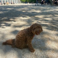 Photo taken at Washington Square Dog Run by Vanessa S. on 5/14/2021
