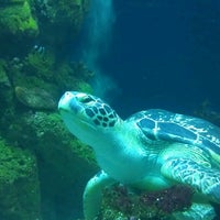 Haus Des Meeres Aqua Terra Zoo Aquarium In Vienna