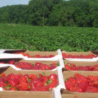 Foto tomada en Fifer Orchards Farm and Country Store  por Fifer Orchards Farm and Country Store el 1/24/2014